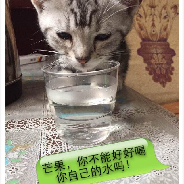 沃加沃加定制证件